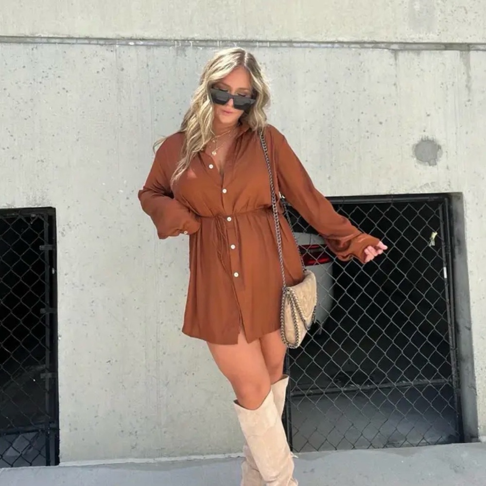 Brown Button-Up Dress - image 1